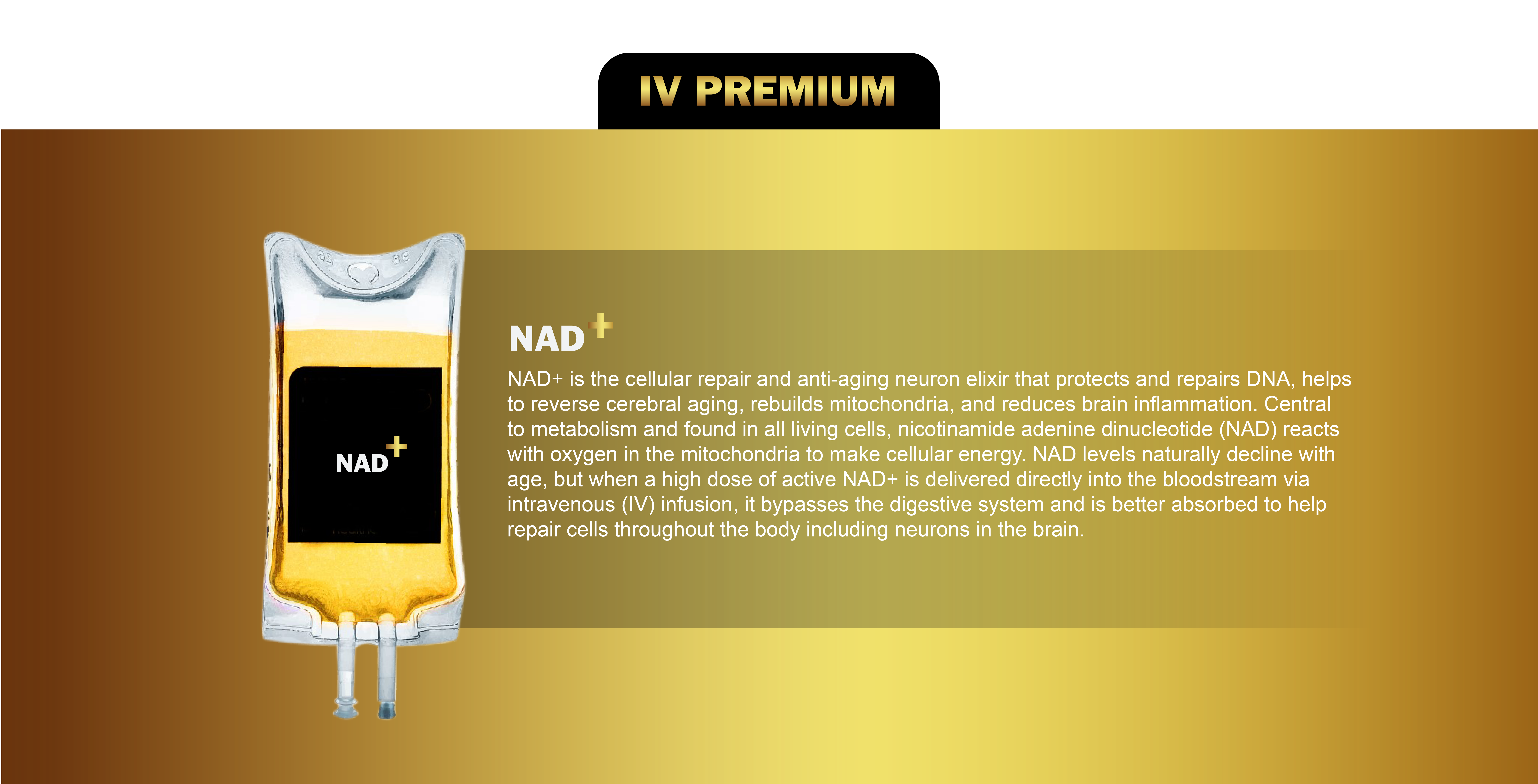 nad+